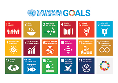 SDGsの17の目標